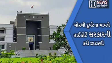 હાઈકોર્ટ-hum dekhenge news