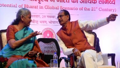 Nirmala Sitaraman And Shivrajshihn Chauhan