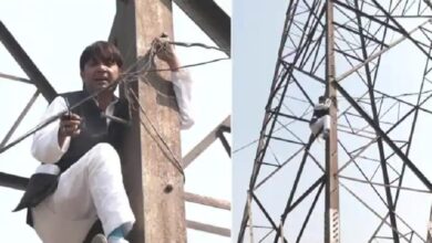 ex-AAP councillor climbs tower