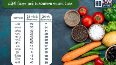 શિયાળો શરૂ થતાં ગૃહિણીઓને શાકભાજીના ભાવમાં રાહત- humdekhengenews