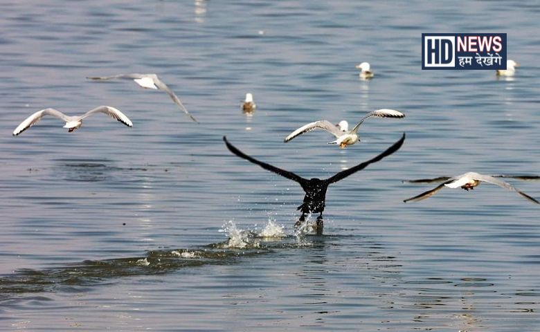 નડાબેટ રણ-humdekhengenews