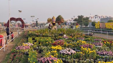 Ahmedabad Flower Show 2022