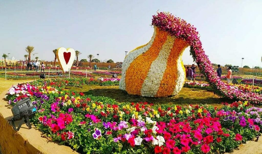 Ahmedabad Flower Show 2022 Hum Dekhenge News 07