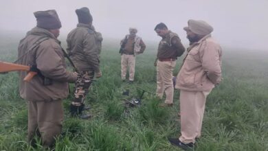 BSF shot down Pakistani drone