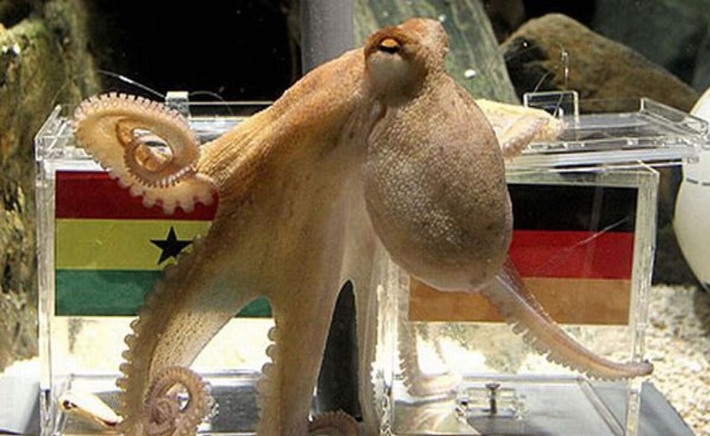 Paul-the octopus 