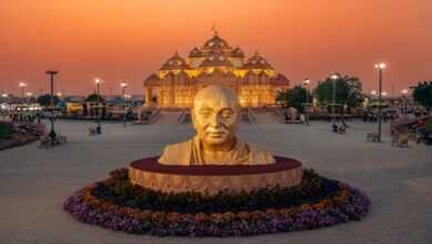 Pramukhswami Maharaj Shatabdi Mohatsav - Hum Dekhenge News