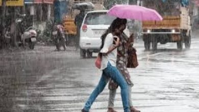 Rain in Gujarat