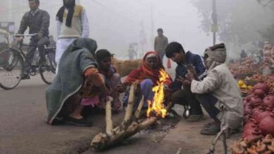 Gujarat weather report