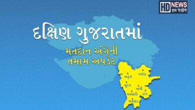 દક્ષિણ ગુજરાત- hum dekhnge news