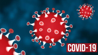 coronavirus Gujarat