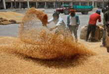 wheat-flour prices