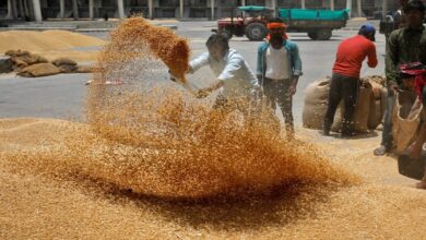 wheat-flour prices