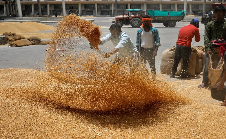 wheat-flour prices