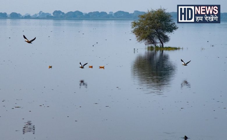 વઢવાણા-HUMDEKHENGENEWS