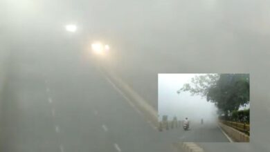 Ahmedabad Fog Hum Dekhenege News