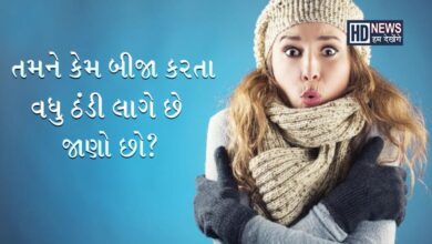 શું તમને પણ વધુ ઠંડી લાગે છે? શરીરમાં આ વસ્તુઓની ઉણપ હોઇ શકે hum dekhenge news