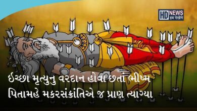 મકરસંક્રાંતિનું શું છે મહત્ત્વઃ તેની સાથે જોડાયેલી તમામ વાતો જાણો hum dekhenge news