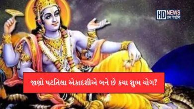 આ વખતે ષટતિલા એકાદશી પર ત્રણ શુભ યોગઃ વધી જશે અગિયારસનું મહત્ત્વ hum dekhenge news