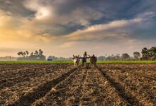 farmer - Humdekhengenews