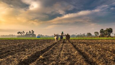 farmer - Humdekhengenews