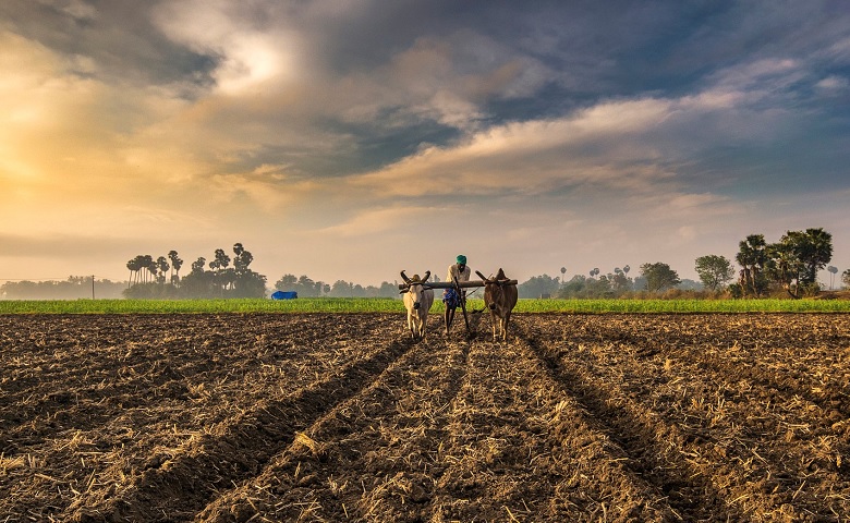 farmer - Humdekhengenews