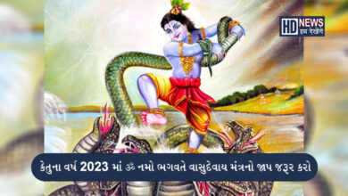 2023 છે કેતુનુ વર્ષઃ દરેક વ્યક્તિ કરે આ કામ, અશુભ ફળ રહેશે દુર hum dekhenge news