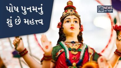 પોષી પુનમ એટલે મા અંબાનો પ્રાગટ્ય દિવસઃ મનની શાંતિ મેળવવા આટલુ કરો hum dekhenge news