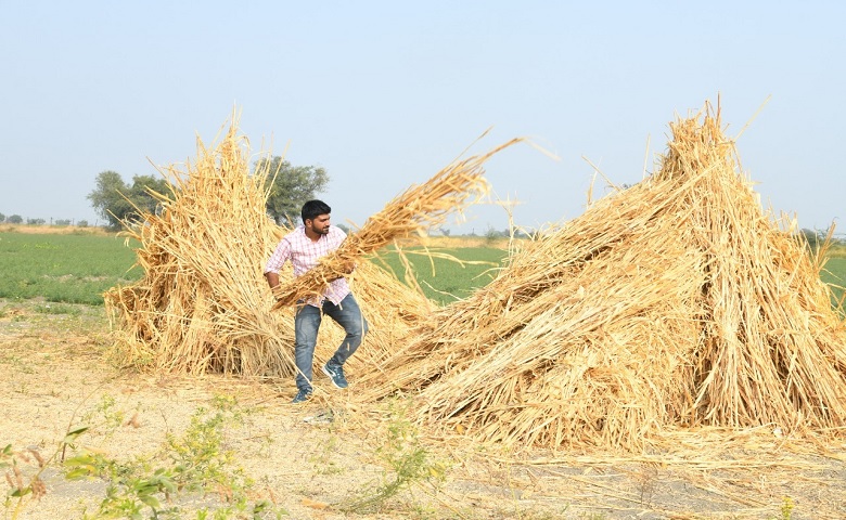 ખેતી - Humdekhengenews