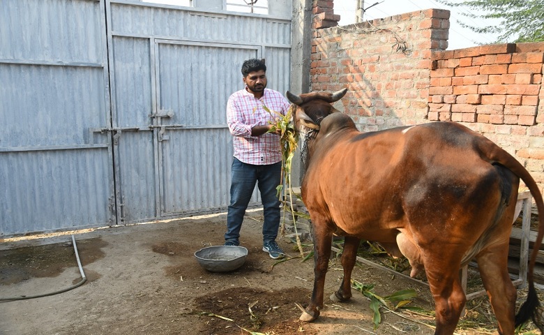 ખેતી - Humdekhengenews