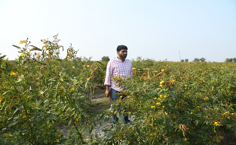 ખેતી - Humdekhengenews