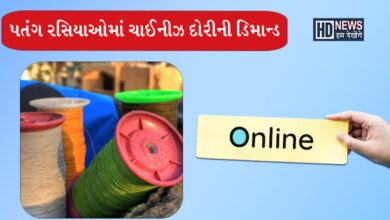 ચાઇનીઝ દોરી - Humdekhengenews