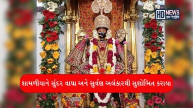 શામળાજી પૂનમ - Humdekhengenews