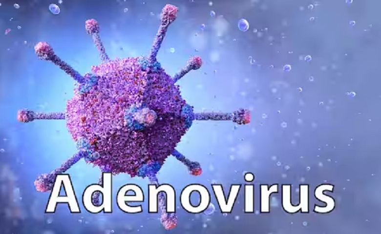 Adeno virus