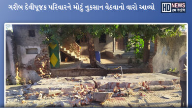 પાલનપુર -humdekhengenews