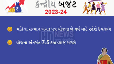 બજેટમાં મહિલાઓ માટે જાહેરાત-HUMDEKHENGENEWSW