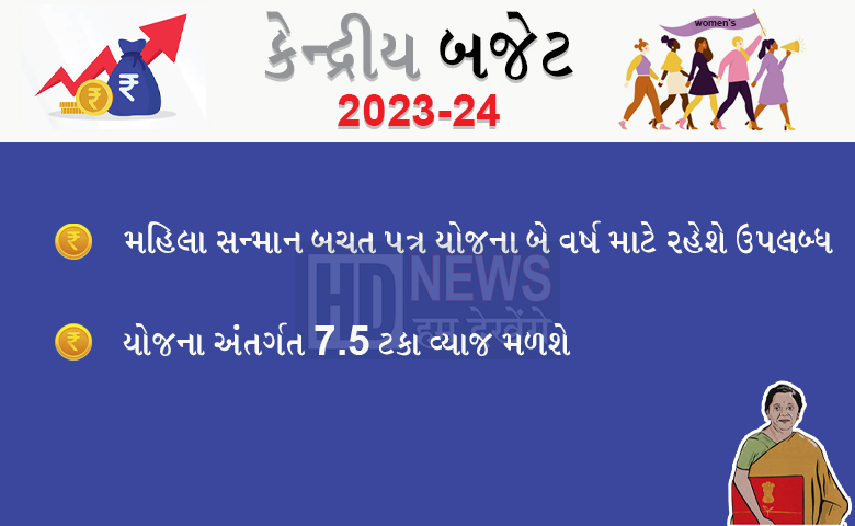 બજેટમાં મહિલાઓ માટે જાહેરાત-HUMDEKHENGENEWSW