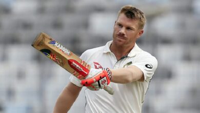 Opener David Warner