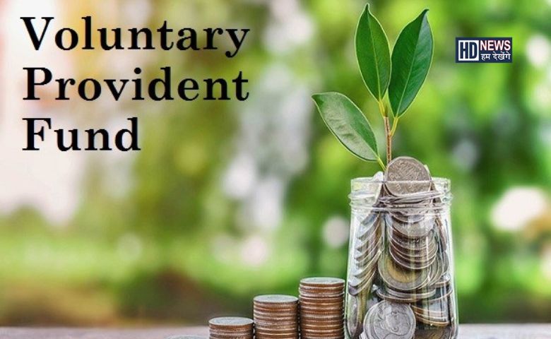 Voluntary Providend Fund: સ્માર્ટ લોકો પસંદ કરે છે આ ટેક્સ ફ્રી ઇન્વેસ્ટમેન્ટ hum dekhenge news