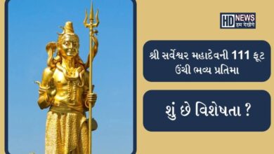 Vadodara Shivji Murti Hum Dekhenge News