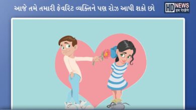 Happy Rose Day: જાણો કયા રંગના ગુલાબનું શું છે મહત્ત્વ, કેવી રીતે કરશો નક્કી? hum dekhenge news