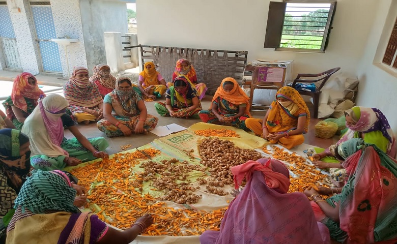 હળદર - Humdekhengenews