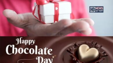 આજે Chocolate Day:સંબંધોમાં મીઠાશ લાવવાનો શ્રેષ્ઠ અવસર hum dekhenge news