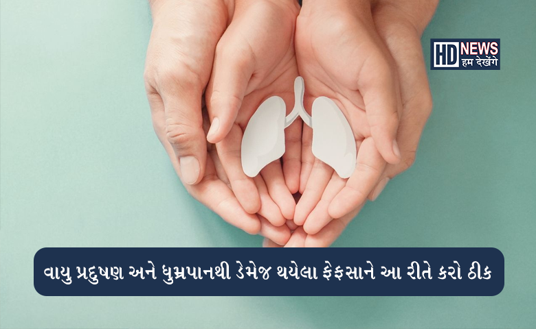 સિગરેટ પીતા હો અથવા પ્રદુષણમાં ફરતા હો તો ફેફસાને હેલ્ધી રાખવા ડાયેટમાં અવશ્ય લો આ વસ્તુઓ hum dekhenge news