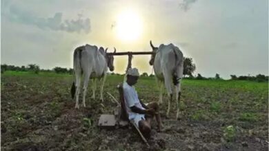 ખેડૂત - Humdekhengenews