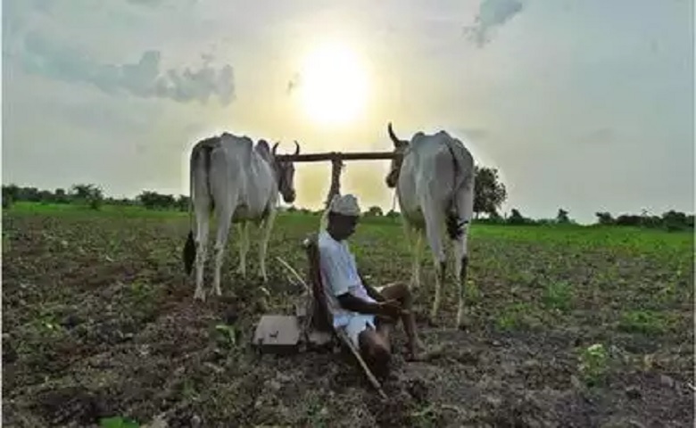 ખેડૂત - Humdekhengenews