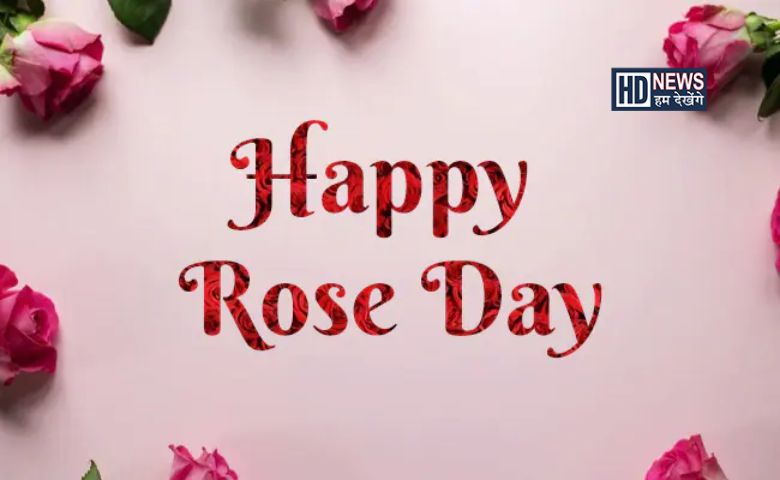  Happy Rose Day: જાણો કયા રંગના ગુલાબનું શું છે મહત્ત્વ, કેવી રીતે કરશો નક્કી? hum dekhenge news