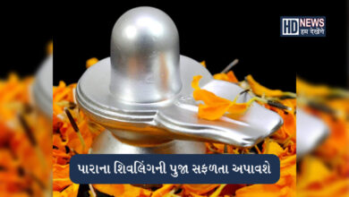 શિવરાત્રિએ પારાના શિવલિંગની પુજા કરશો તો થશે ગજબના ફાયદા hum dekhenge news