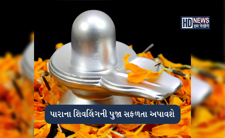 શિવરાત્રિએ પારાના શિવલિંગની પુજા કરશો તો થશે ગજબના ફાયદા hum dekhenge news