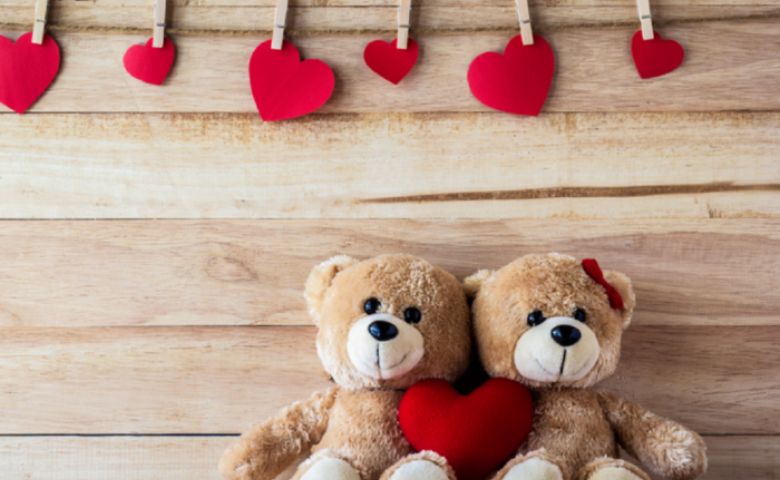 આજે  Teddy Day: કયા રંગનું ટેડી ગિફ્ટ કરશો? જાણો બીજી પણ  વાતો hum dekhenge news