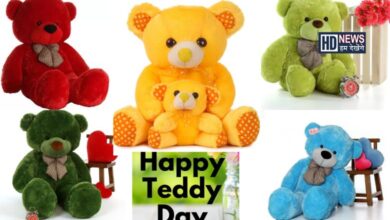 આજે Teddy Day: કયા રંગનું ટેડી ગિફ્ટ કરશો? જાણો બીજી પણ વાતો hum dekhenge news